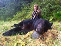 Black Bear